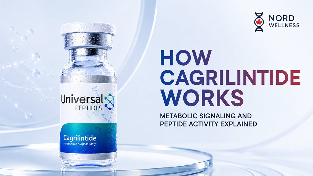 cagrilintide how does it work lowers bodyweight through brain amylin receptors 1 and 3 Cagrilintide (10mg vials) - Peptide