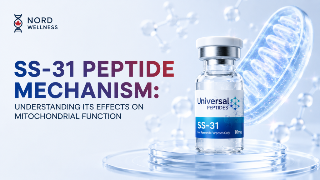 ss-31-peptide-mechanism
