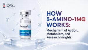 how-5-amino-1mq-works